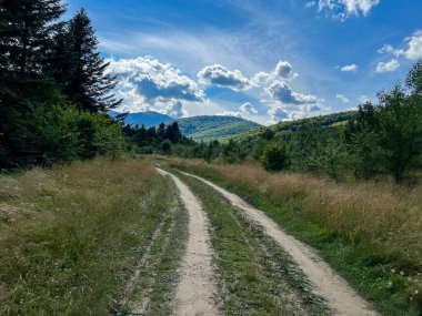 Muhteşem Karpat dağları yaz mevsiminde orman ve bulutlarla kaplı arka plan  
