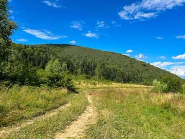 Muhteşem Karpat dağları yaz mevsiminde orman ve bulutlarla kaplı arka plan  