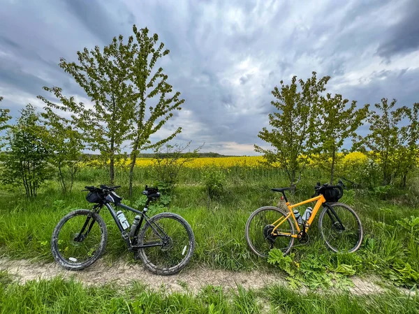 stock image Gravel bicycle in the city park on the summer season