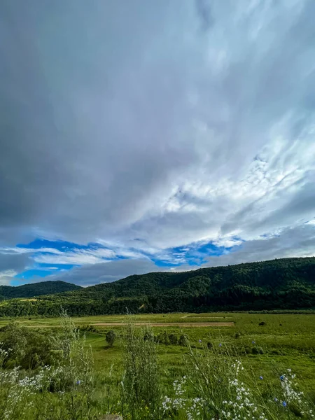 夏の季節に森と雲を背景とした素晴らしいカルパティア山脈 — ストック写真