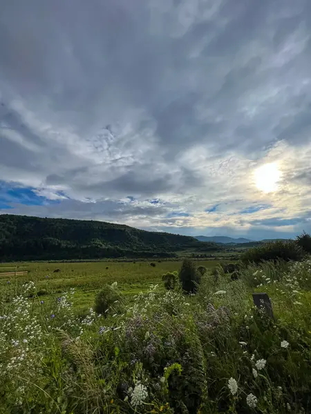 Grymt Karpatiska Berg Landskap Bakgrund Med Skog Och Moln Sommaren — Stockfoto