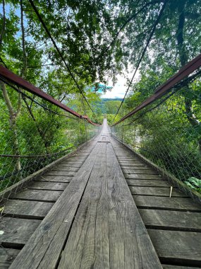 Karpatlar 'daki nehrin harika bir manzarası. Dağlarda yaz mevsimi. Nehir manzarası ve arka planda dağlar