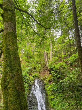 Sahne görkemli bir şelaleyi ihtişamlı bir şekilde yakalar, sanki zamanda donmuşçasına. Kristal berrak su, kayalık bir uçurumdan düşer. Köpüklü beyaz püskürtüsü, etrafındaki arazinin toprak tonlarına zıt düşer..