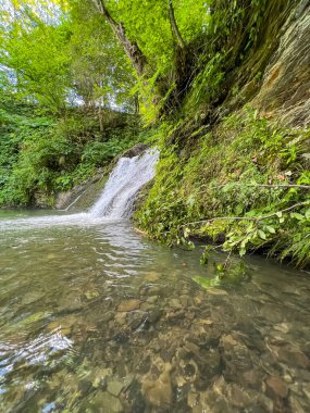 Sahne görkemli bir şelaleyi ihtişamlı bir şekilde yakalar, sanki zamanda donmuşçasına. Kristal berrak su, kayalık bir uçurumdan düşer. Köpüklü beyaz püskürtüsü, etrafındaki arazinin toprak tonlarına zıt düşer..