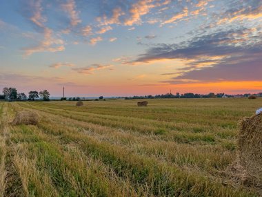 Pahalı bir sahne saman saçılmış bir tarlanın kırsal çekiciliğini yakalıyor güneşin sıcak, altın renklerinde güneşleniyor.