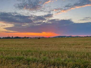Pahalı bir sahne saman saçılmış bir tarlanın kırsal çekiciliğini yakalıyor güneşin sıcak, altın renklerinde güneşleniyor.