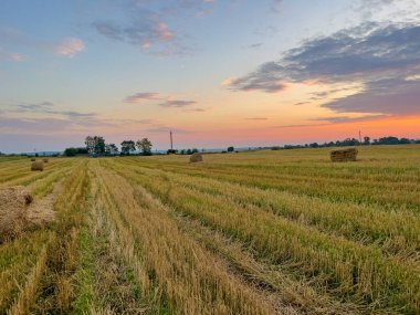 Pahalı bir sahne saman saçılmış bir tarlanın kırsal çekiciliğini yakalıyor güneşin sıcak, altın renklerinde güneşleniyor.