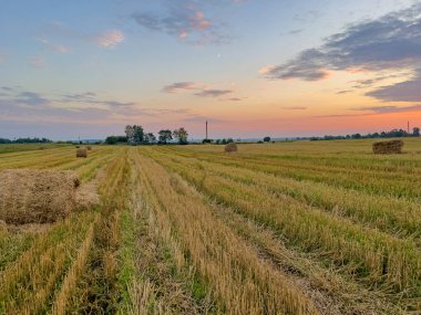 Pahalı bir sahne saman saçılmış bir tarlanın kırsal çekiciliğini yakalıyor güneşin sıcak, altın renklerinde güneşleniyor.