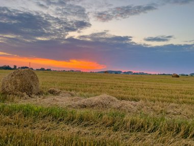 Pahalı bir sahne saman saçılmış bir tarlanın kırsal çekiciliğini yakalıyor güneşin sıcak, altın renklerinde güneşleniyor.