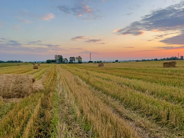 Pahalı bir sahne saman saçılmış bir tarlanın kırsal çekiciliğini yakalıyor güneşin sıcak, altın renklerinde güneşleniyor.