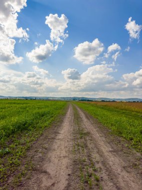 Altın tarlalar güneşin sıcacık kucağında, yumuşak beyaz bulutların altında güneşleniyor. Doğa, güneşli bir günde resim yapıyor..