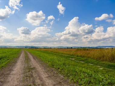 Altın tarlalar güneşin sıcacık kucağında, yumuşak beyaz bulutların altında güneşleniyor. Doğa, güneşli bir günde resim yapıyor..