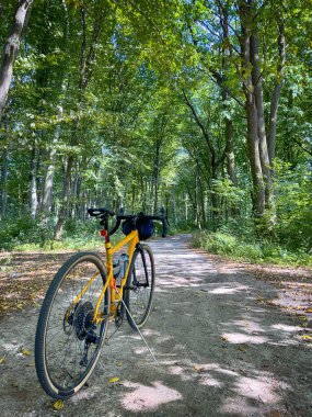 Yaz mevsiminde şehir parkında çakıl bisikleti