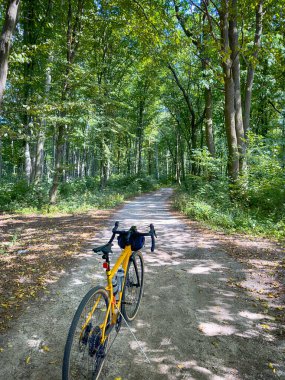 Yaz mevsiminde şehir parkında çakıl bisikleti