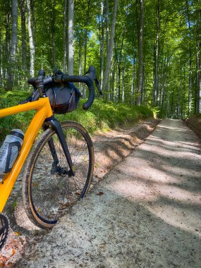 Yaz mevsiminde şehir parkında çakıl bisikleti