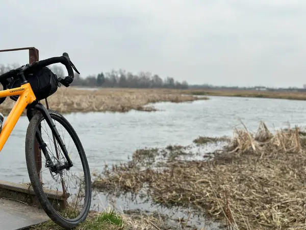 stock image Gravel bicycle in the city park on the spring season