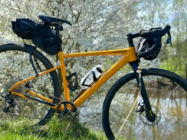 Bahar mevsiminde şehir parkında çakıl bisikleti