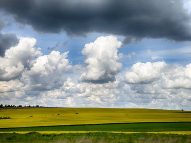 Güneşli bir günde, gökyüzünde bulutlar olan mükemmel tarlalar.