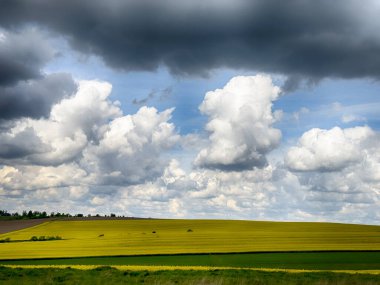 Güneşli bir günde, gökyüzünde bulutlar olan mükemmel tarlalar.