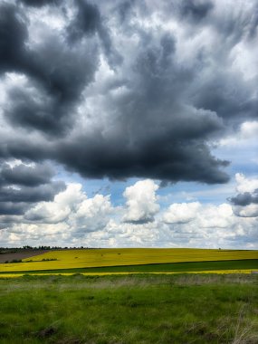 Güneşli bir günde, gökyüzünde bulutlar olan mükemmel tarlalar.