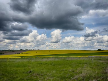 Güneşli bir günde, gökyüzünde bulutlar olan mükemmel tarlalar.