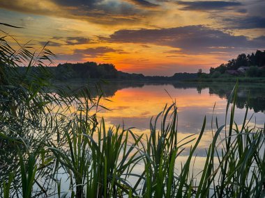 Huzurlu Balık Gölü: tenha bir balıkçı gölünün sakin sularında huzurlu bir manzara. Bereketli yeşilliklerle çevrili ve berrak mavi gökyüzü ile çerçevelenmiş bu resim mükemmel bir günün özünü yakalıyor. 