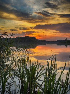 Huzurlu Balık Gölü: tenha bir balıkçı gölünün sakin sularında huzurlu bir manzara. Bereketli yeşilliklerle çevrili ve berrak mavi gökyüzü ile çerçevelenmiş bu resim mükemmel bir günün özünü yakalıyor. 