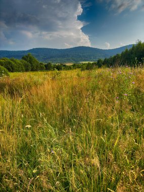 Bulutlu havada Karpat Dağları 'nın manzarası. Yaz mevsiminde hava çok güzel.