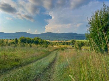 Bulutlu havada Karpat Dağları 'nın manzarası. Yaz mevsiminde hava çok güzel.