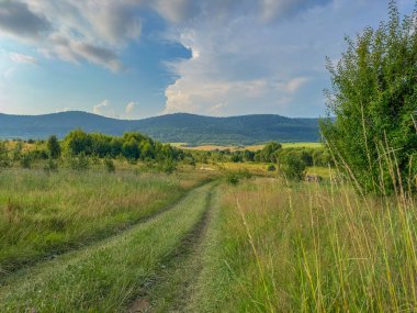 Bulutlu havada Karpat Dağları 'nın manzarası. Yaz mevsiminde hava çok güzel.