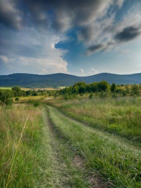 Bulutlu havada Karpat Dağları 'nın manzarası. Yaz mevsiminde hava çok güzel.