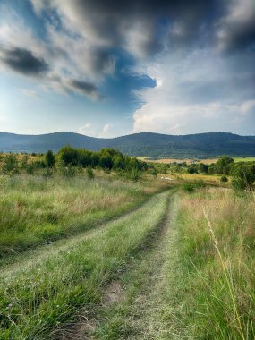 Bulutlu havada Karpat Dağları 'nın manzarası. Yaz mevsiminde hava çok güzel.