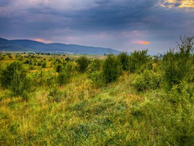 Yaz mevsiminde gün batımında Karpatlar 'ın muhteşem manzara manzarası 