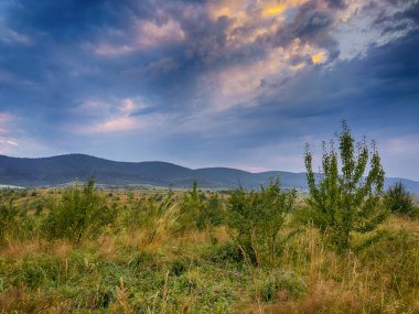 Yaz mevsiminde gün batımında Karpatlar 'ın muhteşem manzara manzarası 