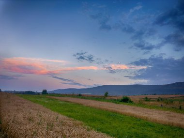 Yaz mevsiminde gün batımında Karpatlar 'ın muhteşem manzara manzarası 