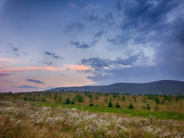 Yaz mevsiminde gün batımında Karpatlar 'ın muhteşem manzara manzarası 