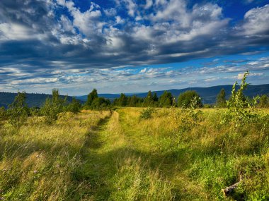 Bulutlu havada Karpat Dağları 'nın manzarası. Yaz mevsiminde hava çok güzel.