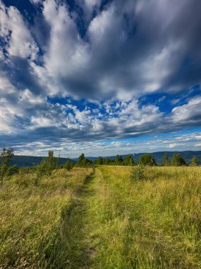 Bulutlu havada Karpat Dağları 'nın manzarası. Yaz mevsiminde hava çok güzel.