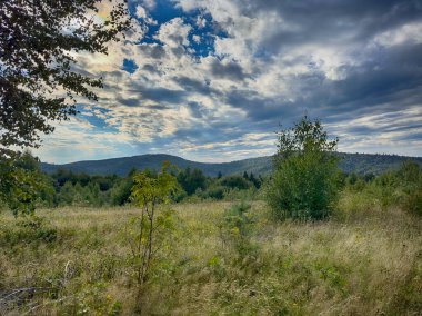 Bulutlu havada Karpat Dağları 'nın manzarası. Yaz mevsiminde hava çok güzel.