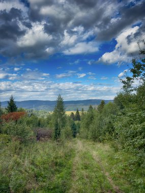 Bulutlu havada Karpat Dağları 'nın manzarası. Yaz mevsiminde hava çok güzel.