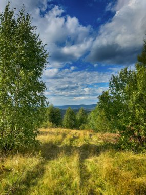 Bulutlu havada Karpat Dağları 'nın manzarası. Yaz mevsiminde hava çok güzel.