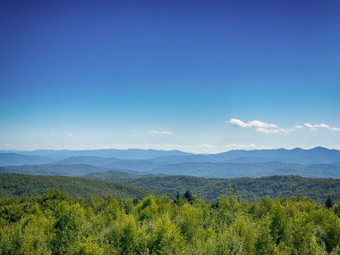 Bulutlu havada Karpat Dağları 'nın manzarası. Yaz mevsiminde hava çok güzel.