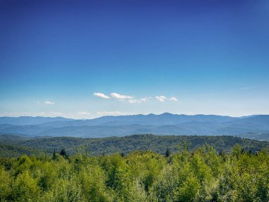 Bulutlu havada Karpat Dağları 'nın manzarası. Yaz mevsiminde hava çok güzel.
