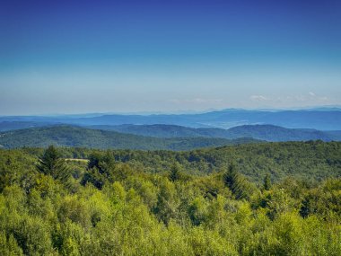 Bulutlu havada Karpat Dağları 'nın manzarası. Yaz mevsiminde hava çok güzel.