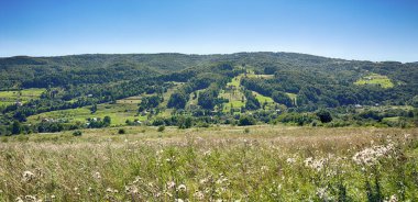 Bulutlu havada Karpat Dağları 'nın manzarası. Yaz mevsiminde hava çok güzel.