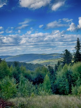 Bulutlu havada Karpat Dağları 'nın manzarası. Yaz mevsiminde hava çok güzel.