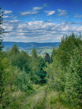 Bulutlu havada Karpat Dağları 'nın manzarası. Yaz mevsiminde hava çok güzel.