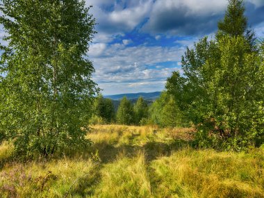 Bulutlu havada Karpat Dağları 'nın manzarası. Yaz mevsiminde hava çok güzel.