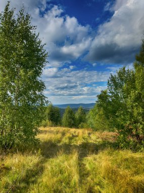 Bulutlu havada Karpat Dağları 'nın manzarası. Yaz mevsiminde hava çok güzel.