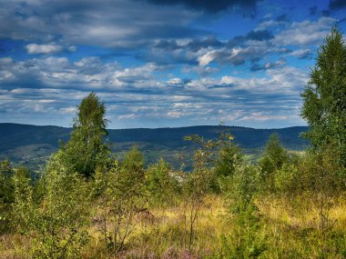 Bulutlu havada Karpat Dağları 'nın manzarası. Yaz mevsiminde hava çok güzel.